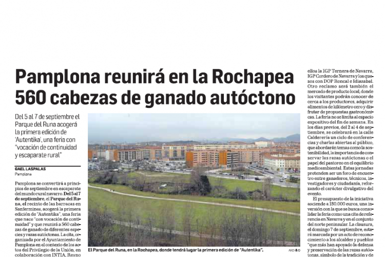 Fotografía del pantallazo de la noticia en la edición impresa del Diario de Navarra