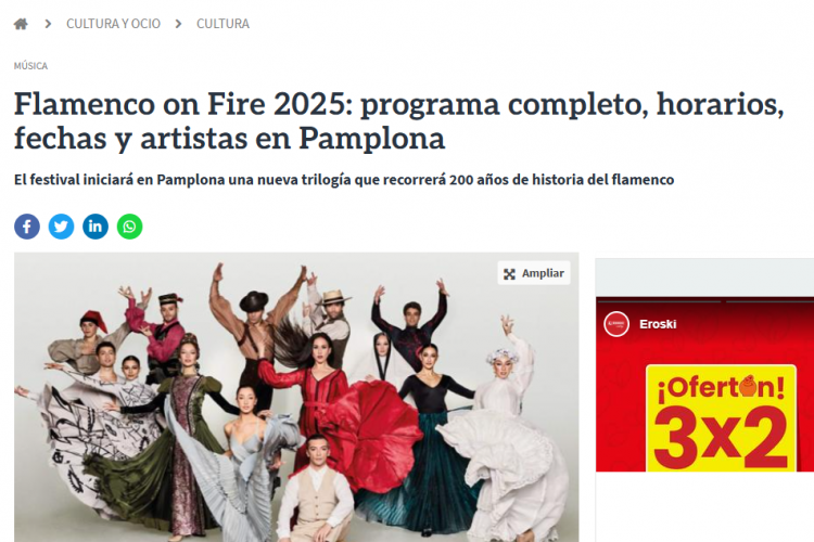 Fotografía del pantallazo de la noticia en la edición online de Diario de Navarra