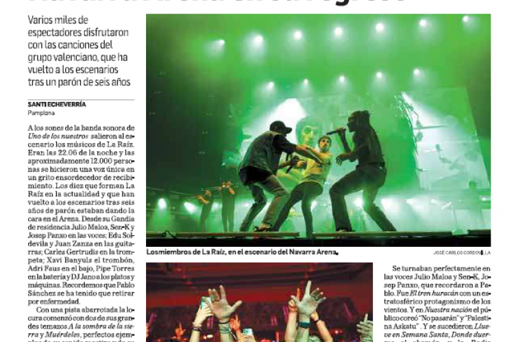 Fotografía del pantallazo de la noticia en la edición impresa del Diario de Navarra