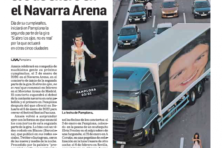 Fotografía del pantallazo de la noticia en la edición impresa del Diario de Navarra