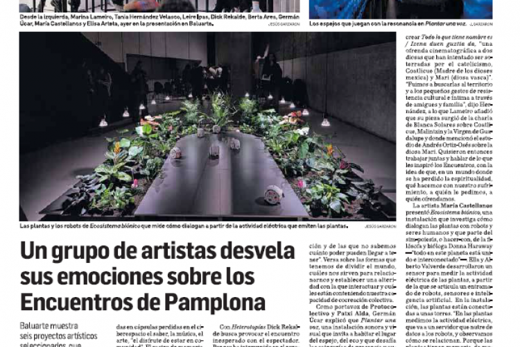 Fotografía del pantallazo de la noticia en la edición impresa de Diario de Navarra