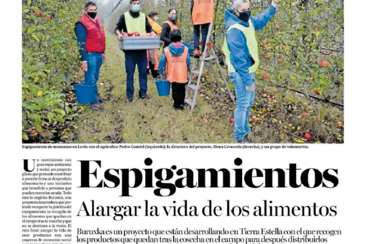 Noticia en la edición impresa del Diario de Noticias