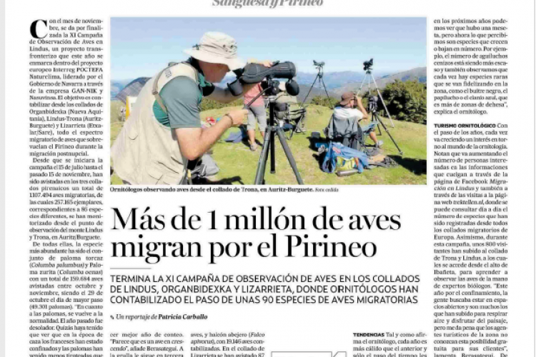 Noticia en la edición impresa del Diario de Noticias