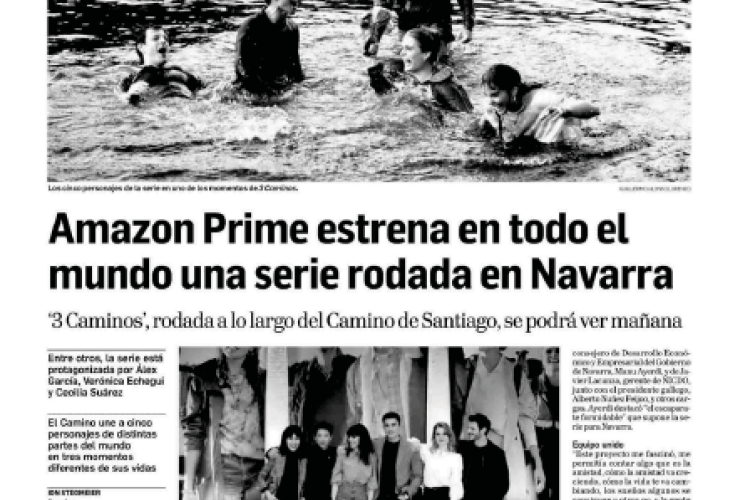 Fotografía del pantallazo de la noticia en la edición impresa del Diario de Navarra