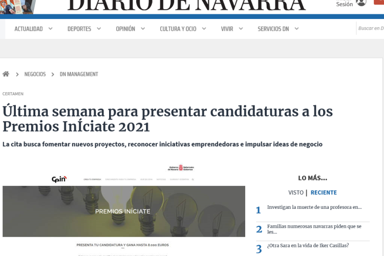 Fotografía del pantallazo de la noticia en la edición online del Diario de Navarra