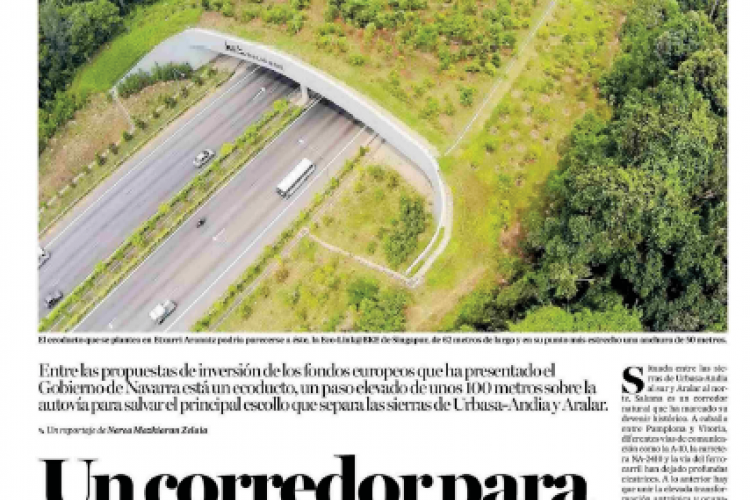 Fotografía del pantallazo de la noticia en la edición impresa del Diario de Noticias