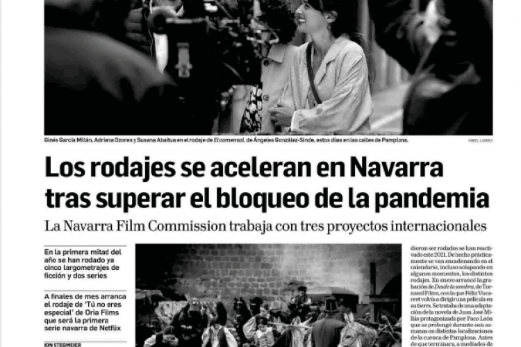 Fotografía del pantallazo de la noticia en la edición impresa del Diario de Navarra