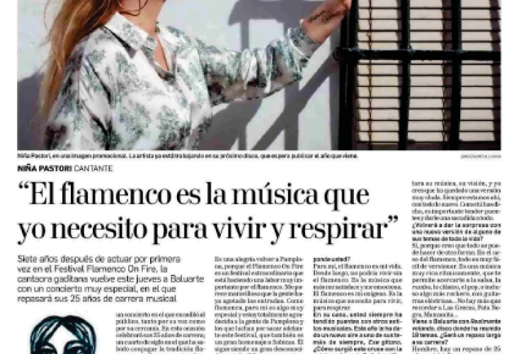 Fotografía del pantallazo de la noticia en la edición impresa del Diario de Navarra