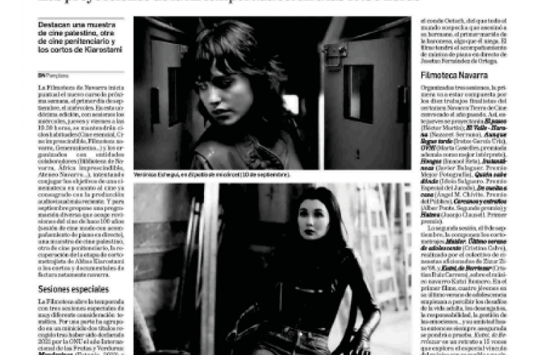 Fotografía del pantallazo de la noticia en la edición impresa del Diario de Navarra