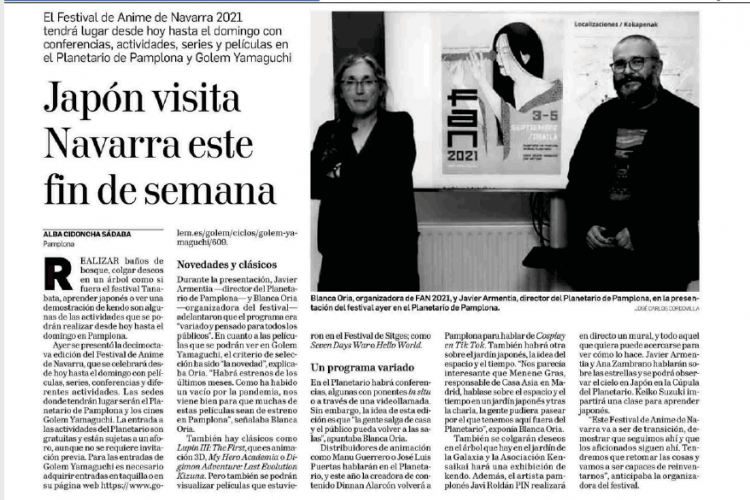 Fotografía del pantallazo de la noticia en la edición impresa del Diario de Navarra