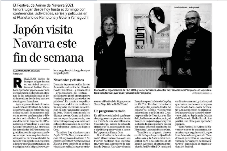 Fotografía del pantallazo de la noticia en la edición impresa del Diario de Navarra