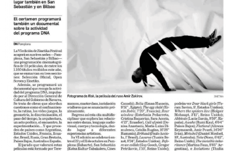 Fotografía del pantallazo de la noticia en la edición impresa del Diario de Navarra