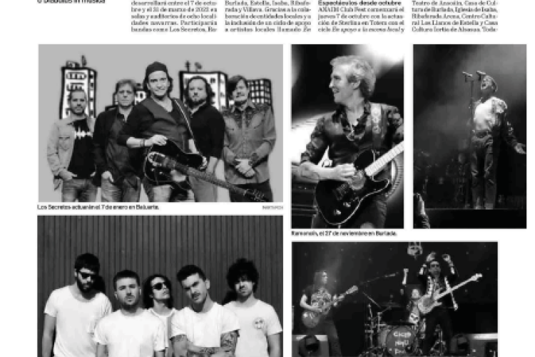 Fotografía del pantallazo de la noticia en la edición impresa del Diario de Navarra