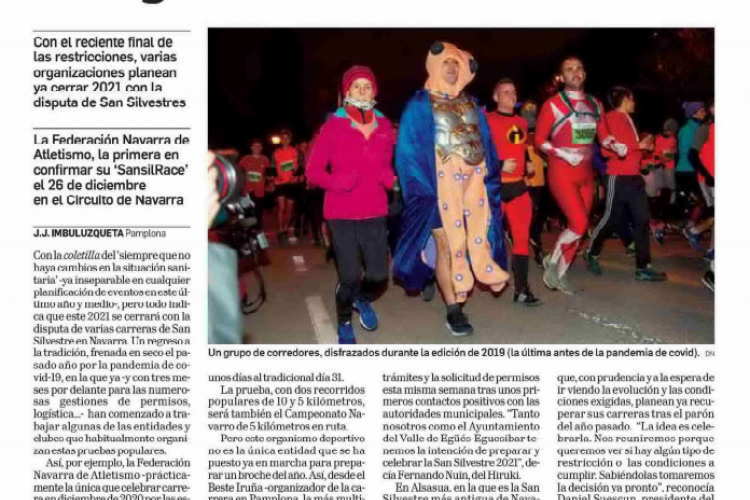 Fotografía del pantallazo de la noticia en la edición impresa del Diario de Navarra