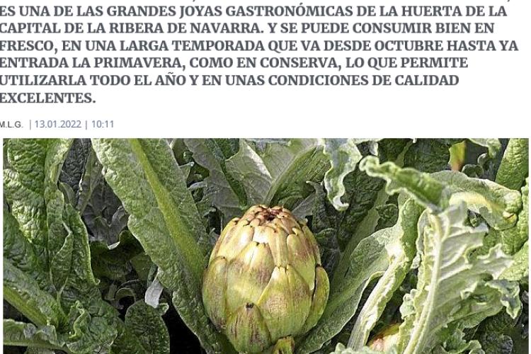 Fotografía del pantallazo de la noticia en la edición online del Diario de Noticias. 