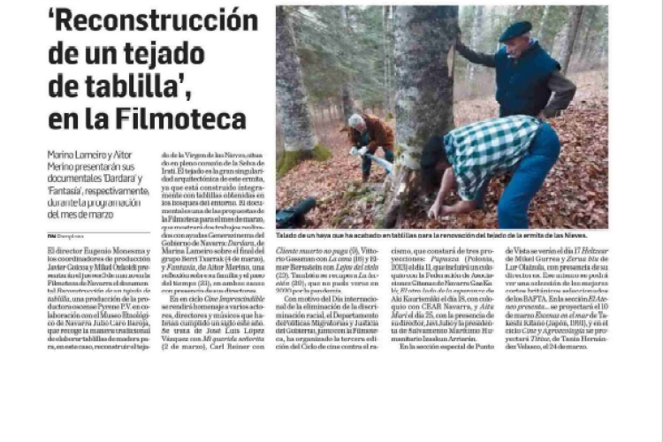 Fotografía del pantallazo de la noticia en la edición impresa del Diario de Navarra