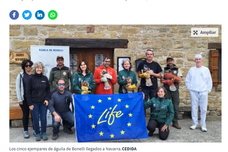 Fotografía del pantallazo de la noticia en la edición online del Diario de Navarra