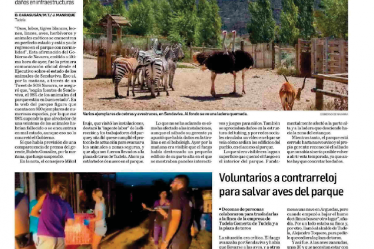 Fotografía del pantallazo de la noticia en la edición impresa del Diario de Navarra