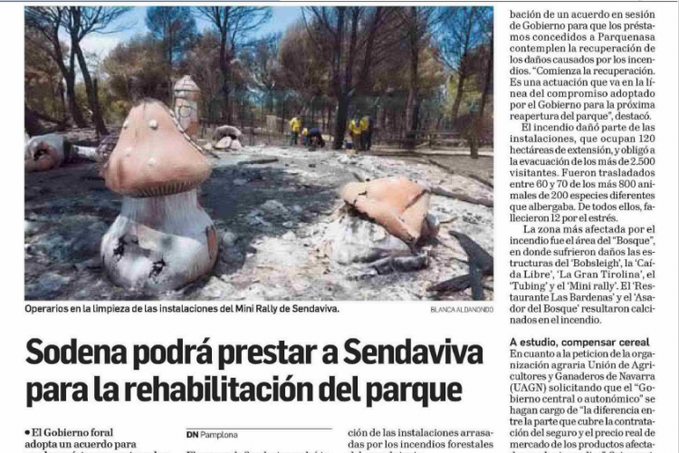 Fotografía del pantallazo de la noticia en la edición impresa del Diario de Navarra