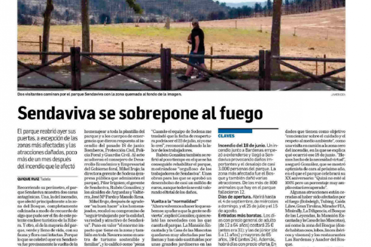 Fotografía del pantallazo de la noticia en la edición impresa del Diario de Navarra