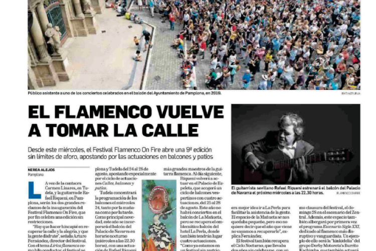 Fotografía del pantallazo de la noticia en la edición impresa del Diario de Navarra