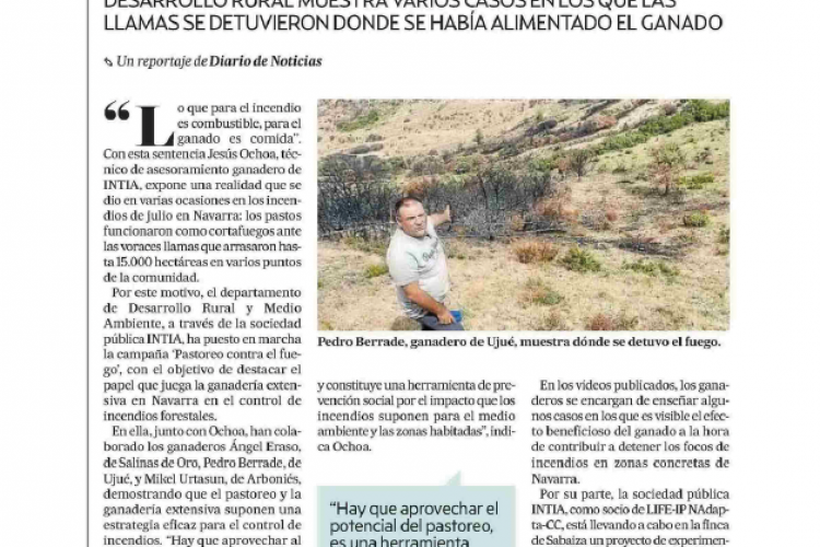 Fotografía del pantallazo de la noticia en la edición impresa del Diario de Noticias