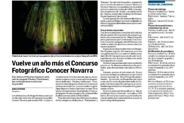 Fotografía del pantallazo de la noticia en la edición impresa del Diario de Navarra