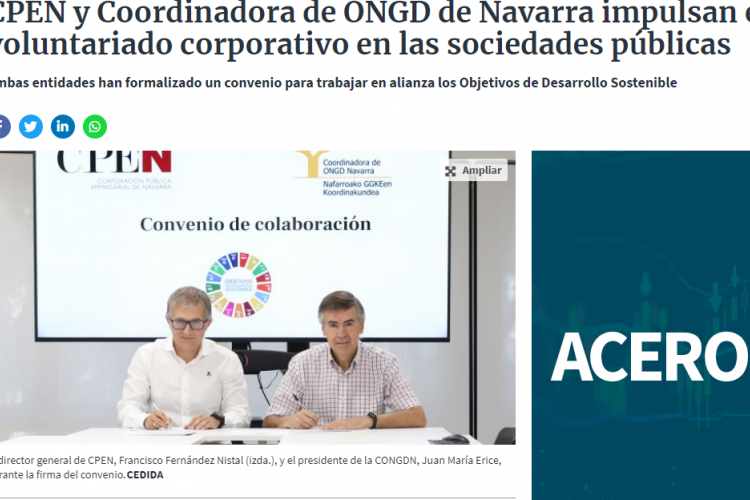 Fotografía del pantallazo de la noticia en la edición online del Diario de Navarra