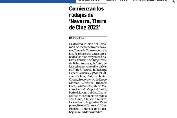 Fotografía del pantallazo de la noticia en la edición impresa del Diario de Navarra