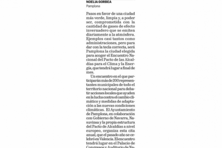 Fotografía del pantallazo de la noticia en la edición impresa del Diario de Navarra