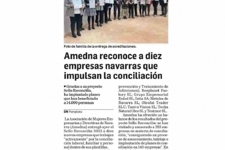 Fotografía del pantallazo de la noticia en la edición impresa del Diario de Navarra