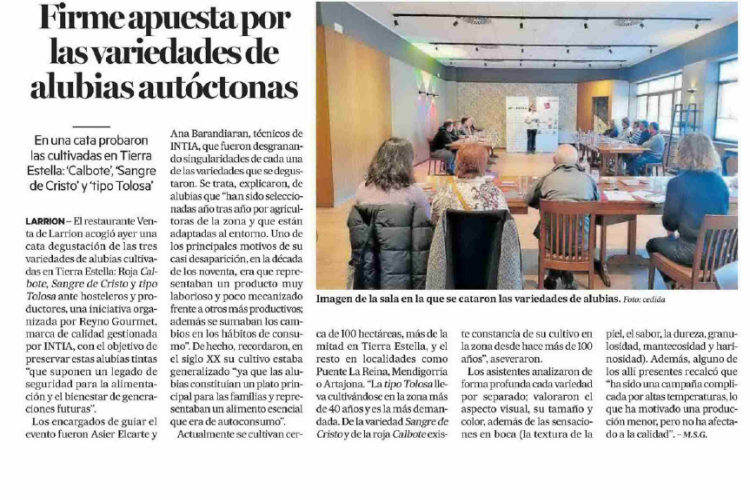 Fotografía del pantallazo de la noticia en la edición impresa del Diario de Noticias 