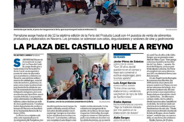 Fotografía del pantallazo de la noticia en la edición impresa del Diario de Navarra