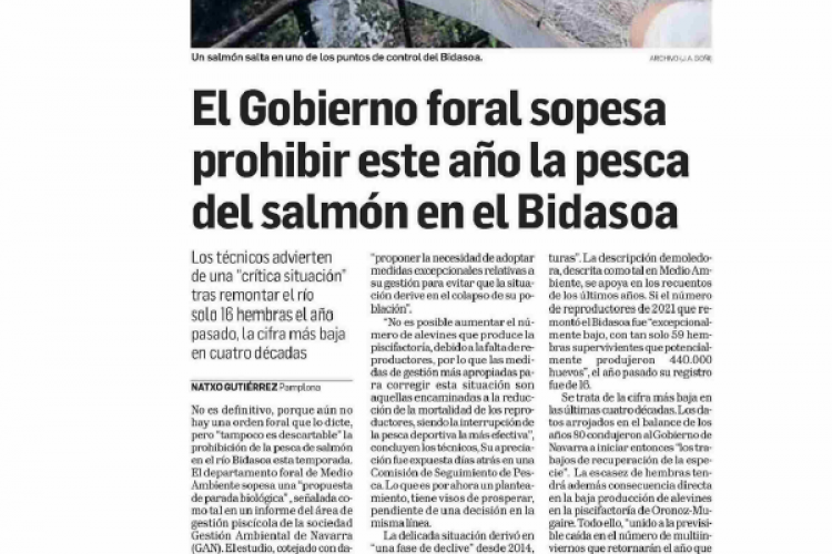 Fotografía del pantallazo de la noticia de la edición impresa en Diario de Navarra