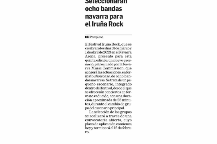 Fotografía del pantallazo de la noticia en la edición impresa del Diario de Navarra