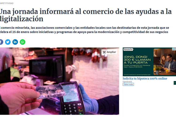 Fotografía del pantallazo de la noticia en la edición online del Diario de Navarra