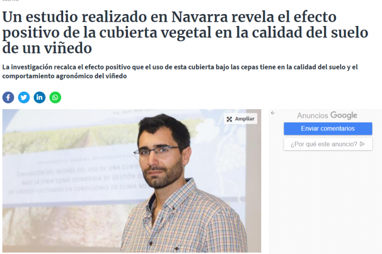 Fotografía del pantallazo de la noticia en la edición online del Diario de Navarra