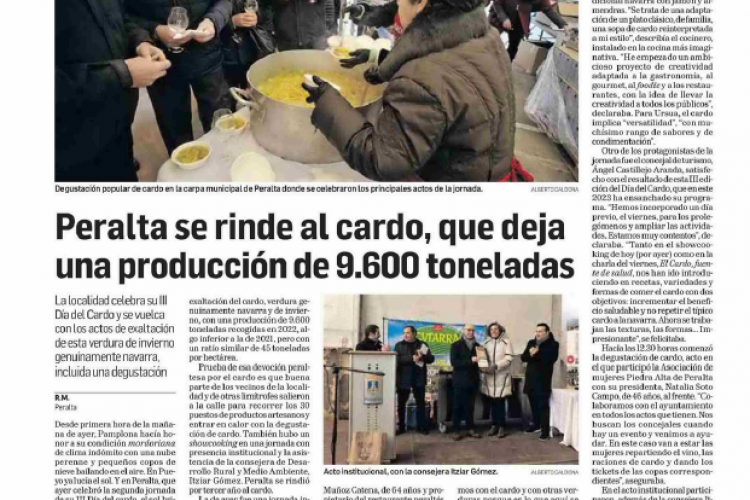 Fotografía del pantallazo de la noticia en la edición impresa del Diario de Navarra