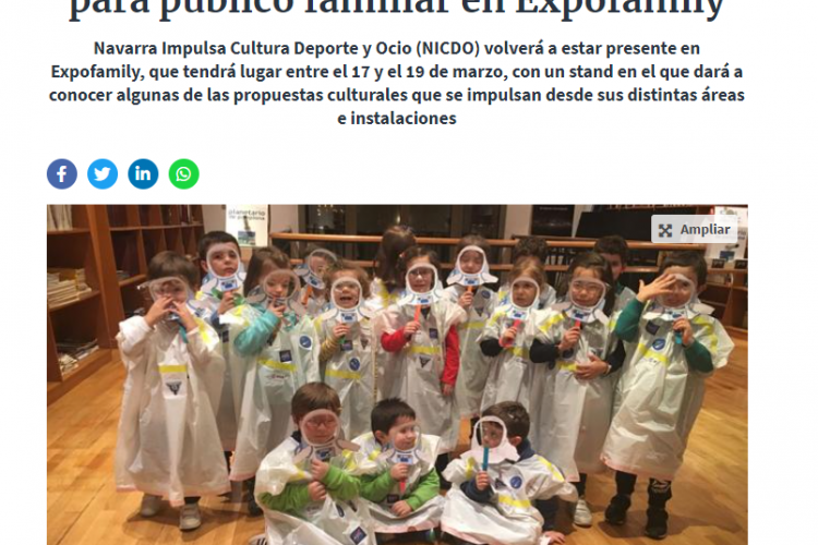 Fotografía del pantallazo de la noticia en la edición online del Diario de Navarra