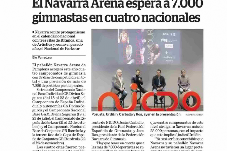 Fotografía del pantallazo de la noticia en la edición impresa del Diario de Navarra.
