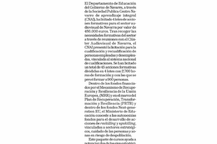 Fotografía del pantallazo de la noticia en la edición impresa del Diario de Navarra