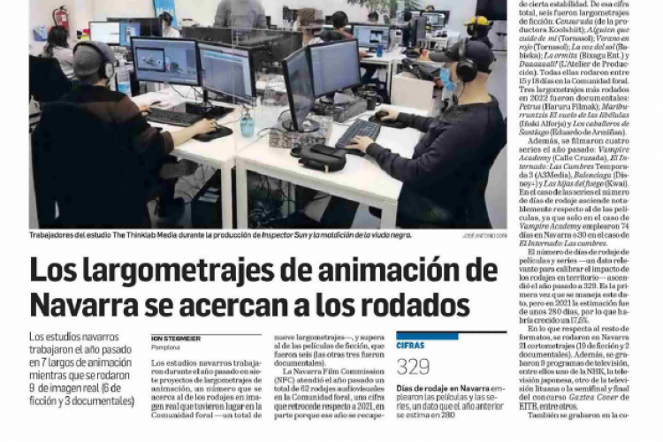 Fotografía del pantallazo de la noticia en la edición impresa del Diario de Navarra