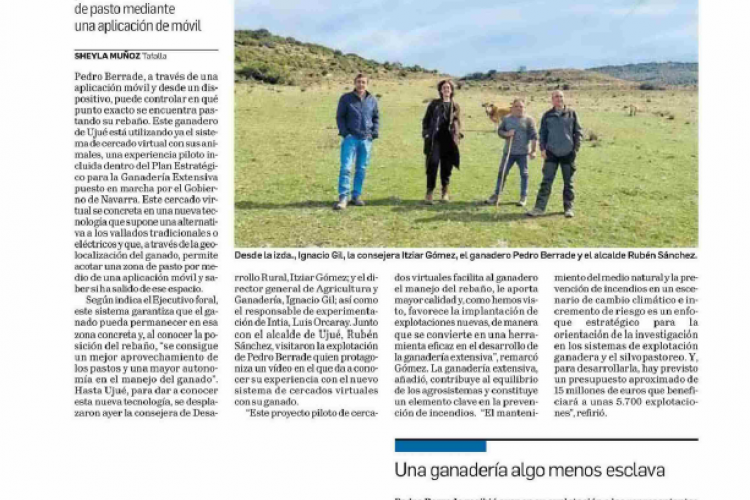 Fotografía del pantallazo de la noticia en la edición impresa del Diario de Navarra