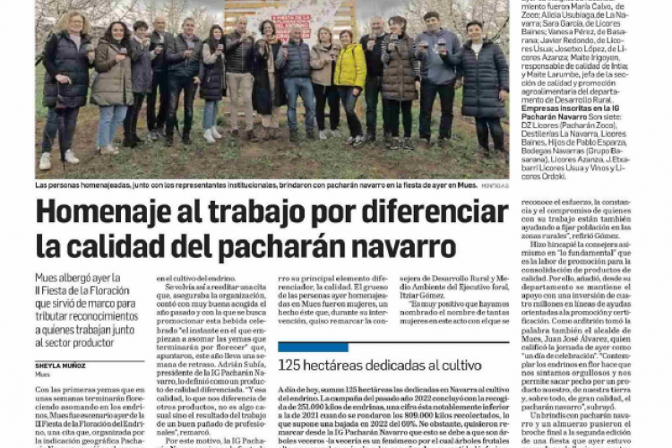 Fotografía del pantallazo de la noticia en la edición impresa del Diario de Navarra