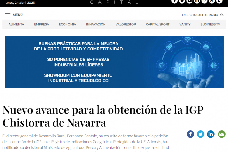 Fotografía del pantallazo de la noticia en la edición online de Navarra Capital 