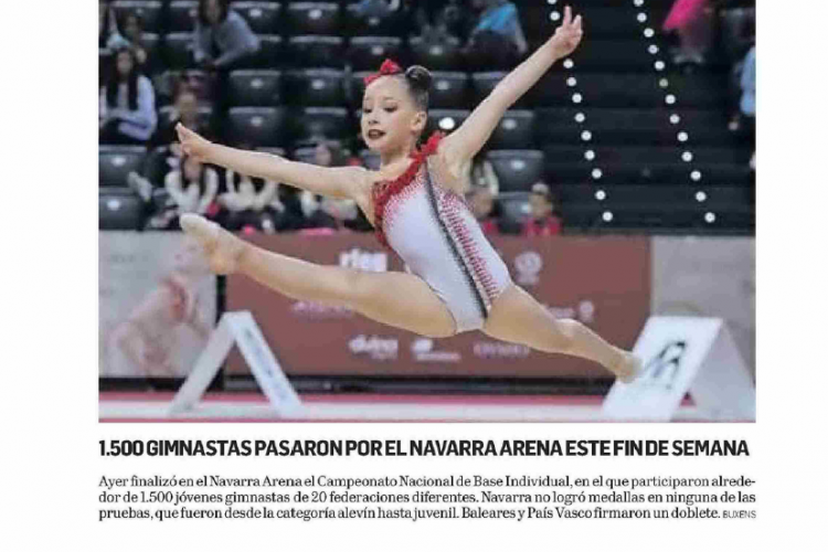 Fotografía del pantallazo de la noticia en la edición impresa del Diario de Navarra