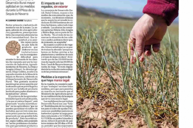 Fotografía del pantallazo de la noticia en la edición impresa del Diario de Navarra