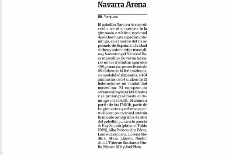Fotografía del pantallazo de la noticia en la edición impresa de Diario de Navarra