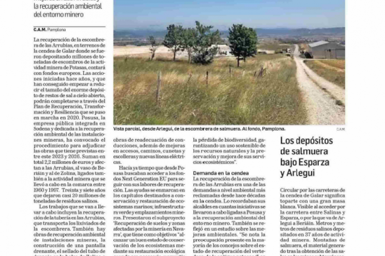 Fotografía del pantallazo de la noticia en la edición impresa de Diario de Navarra