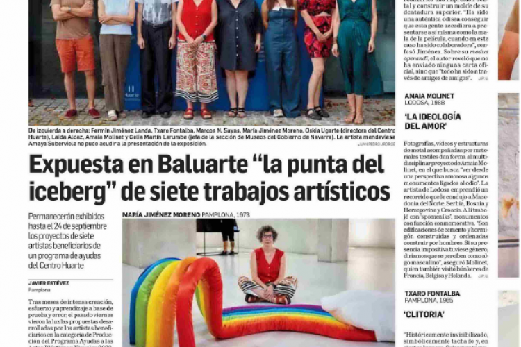 Fotografía del pantallazo de la noticia en la edición impresa del Diario de Navarra